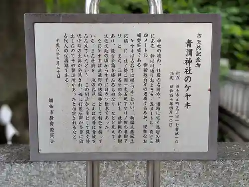 青渭神社(東京都)