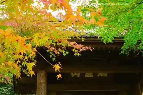 円覚寺(神奈川県)