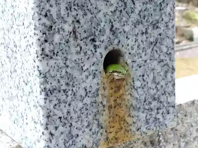 八幡神社(福井県)