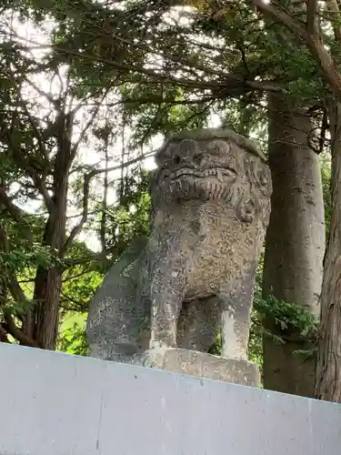 北見神社の狛犬
