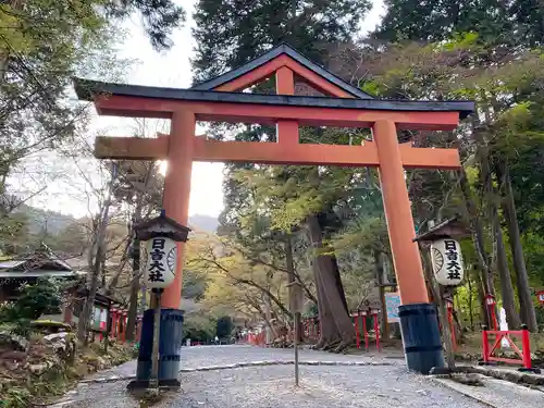 日吉大社の鳥居