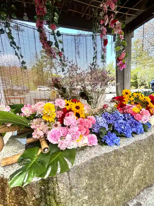 札幌伏見稲荷神社の{uncategorized: "未分類", other: "その他", undefined: "問題あり", building: "その他建物", grave: "お墓", sacred_gate: "鳥居", guardian: "狛犬", statue: "像", buddha: "仏像", history: "歴史", nature: "自然", garden: "庭園", animal: "動物", pagoda: "塔", temizu: "手水舎", mountain_gate: "山門・神門", sanctuary: "本殿・本堂", subordinate: "末社・摂社", art: "芸術", scenery: "景色", jizo: "地蔵", ema: "絵馬", goshuin: "御朱印", omikuji: "おみくじ", items: "授与品その他", amulet: "お守り", goshuincho: "御朱印帳", eats: "食事", festival: "お祭り", votive_dance: "神楽", shichigosan: "七五三参", wedding: "結婚式", experience: "体験その他", initially: "初詣", around: "周辺", anti_infection: "感染症対策"}