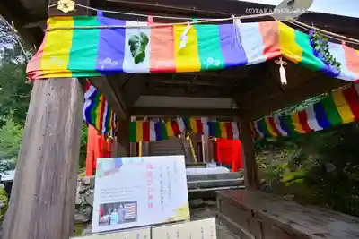 賀茂別雷神社（上賀茂神社）(京都府)