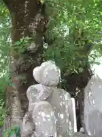 真光寺(千葉県)