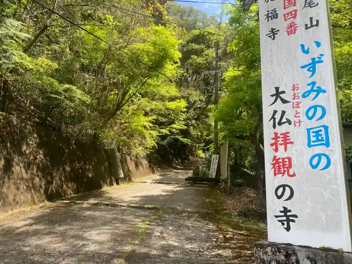 施福寺の{uncategorized: "未分類", other: "その他", undefined: "問題あり", building: "その他建物", grave: "お墓", sacred_gate: "鳥居", guardian: "狛犬", statue: "像", buddha: "仏像", history: "歴史", nature: "自然", garden: "庭園", animal: "動物", pagoda: "塔", temizu: "手水舎", mountain_gate: "山門・神門", sanctuary: "本殿・本堂", subordinate: "末社・摂社", art: "芸術", scenery: "景色", jizo: "地蔵", ema: "絵馬", goshuin: "御朱印", omikuji: "おみくじ", items: "授与品その他", amulet: "お守り", goshuincho: "御朱印帳", eats: "食事", festival: "お祭り", votive_dance: "神楽", shichigosan: "七五三参", wedding: "結婚式", experience: "体験その他", initially: "初詣", around: "周辺", anti_infection: "感染症対策"}
