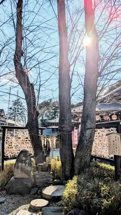 櫻木神社の自然