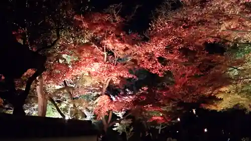 高台寺（高台寿聖禅寺・高臺寺）の景色