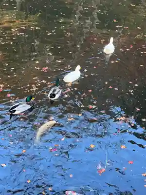 円通寺(兵庫県)