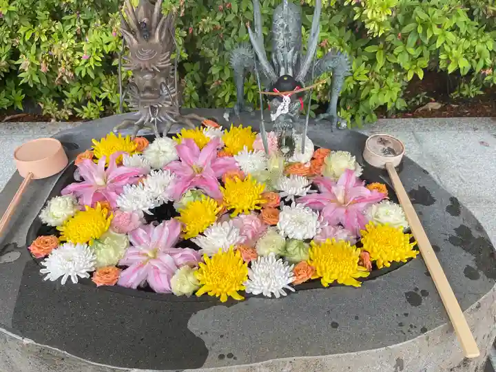 駒込妙義神社の御朱印