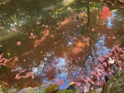 榮攝院（栄摂院）(京都府)