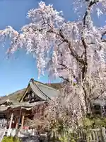 久遠寺(山梨県)