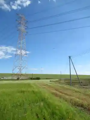 子の権現神社(埼玉県)