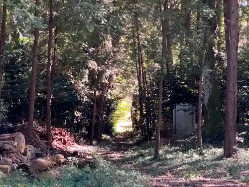 鴨大神御子神主玉神社の周辺