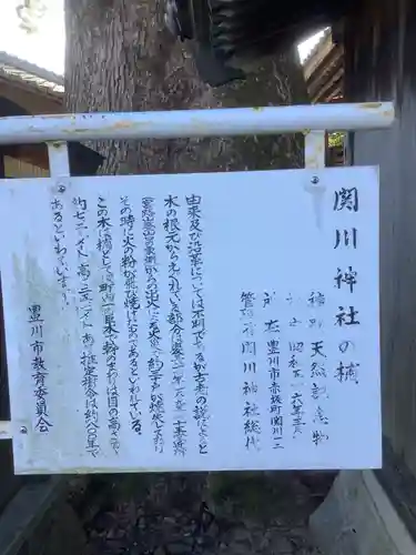 関川社（赤坂町）の自然