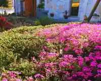 寿量山 速成寺の自然