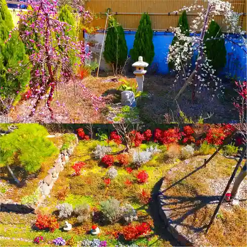 寿量山　速成寺(奈良県)