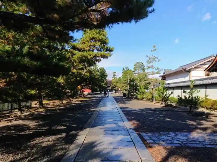 妙心寺(妙心禅寺)(京都府)