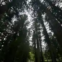 大斎原(熊野本宮大社旧社地)(和歌山県)