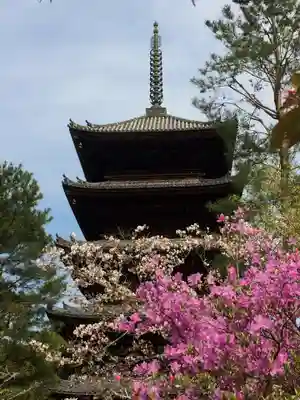 仁和寺のその他建物