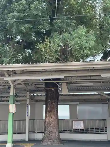 足の神様 服部天神宮(大阪府)