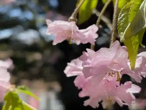 東円寺(山梨県)