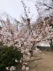 舞子六神社の自然