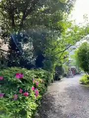 秋葉神社(東京都)