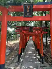 射楯兵主神社の鳥居