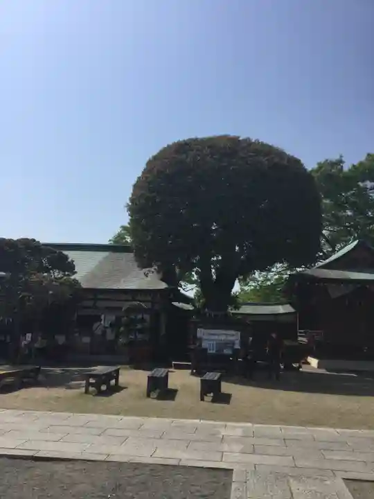 足利織姫神社の自然