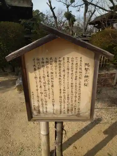 阿智神社の建物その他