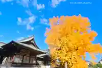 葛飾八幡宮(千葉県)