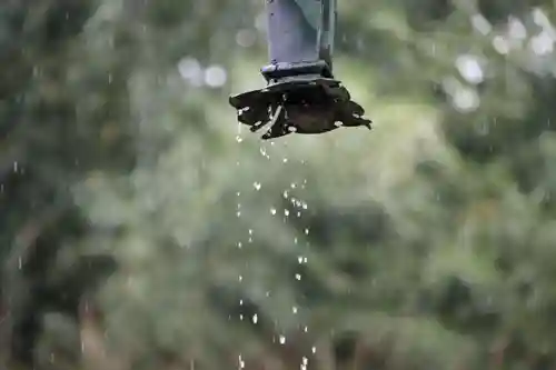 神炊館神社 ⁂奥州須賀川総鎮守⁂の自然