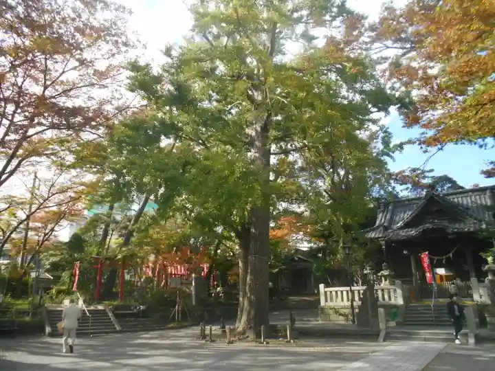 亀岡八幡宮(亀岡八幡神社)(神奈川県)