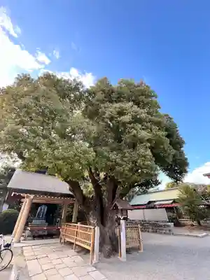 和泉國一之宮　大鳥大社(大阪府)