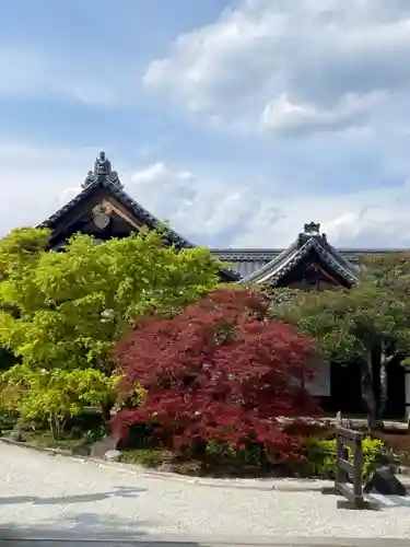 慈雲院のその他建物
