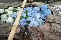 阿智神社の手水舎