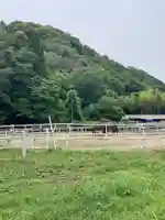 若都王子神社(兵庫県)