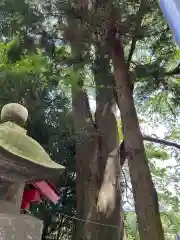 安住神社(栃木県)