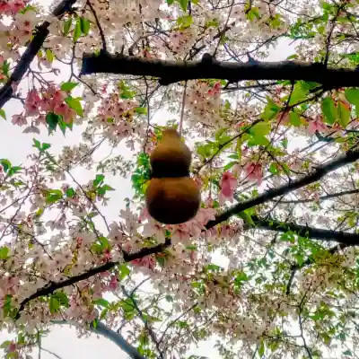 秋葉神社の{uncategorized: "未分類", other: "その他", undefined: "問題あり", building: "その他建物", grave: "お墓", sacred_gate: "鳥居", guardian: "狛犬", statue: "像", buddha: "仏像", history: "歴史", nature: "自然", garden: "庭園", animal: "動物", pagoda: "塔", temizu: "手水舎", mountain_gate: "山門・神門", sanctuary: "本殿・本堂", subordinate: "末社・摂社", art: "芸術", scenery: "景色", jizo: "地蔵", ema: "絵馬", goshuin: "御朱印", omikuji: "おみくじ", items: "授与品その他", amulet: "お守り", goshuincho: "御朱印帳", eats: "食事", festival: "お祭り", votive_dance: "神楽", shichigosan: "七五三参", wedding: "結婚式", experience: "体験その他", initially: "初詣", around: "周辺", anti_infection: "感染症対策"}