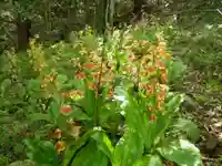 薬王寺(山口県)