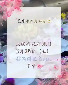 3月28(土)、当社境内桜満開(見込み)を
記念して、花手水桜満開記念ver.を設置
いたします🌸
満開でなかったら申し訳ございません🙇🏻♂️
ぜひ当社をご参拝の上、観音山のお花見を
お楽しみください♪
多くの皆様のご参拝をお待ちしております🌸
✳︎✳︎✳︎✳︎✳︎✳︎✳︎✳︎✳︎✳︎✳︎✳︎✳︎✳︎✳︎✳︎✳︎✳︎✳︎✳︎✳︎✳︎✳︎✳︎✳︎✳︎✳︎✳︎✳︎
花手水を設置する際は、事前にインスタグラム
当社アカウントにてお知らせ致します🌼🌼🌼
ぜひフォローや保存をしてご参考下さいませ🌸
※花手水は天候やお花の状態により、告知無く撤去
する場合がございます。ご了承ください。