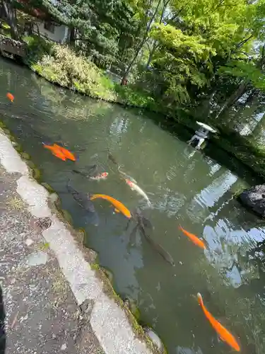 浪岡八幡宮(青森県)