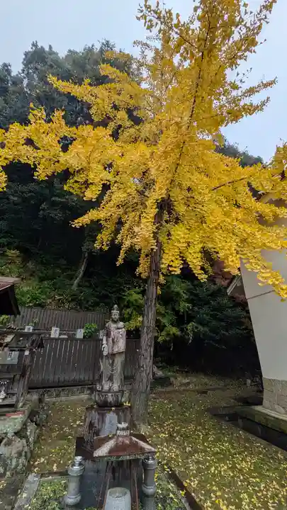 宝積寺(京都府)