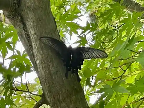 伊勢の国 四天王寺(三重県)
