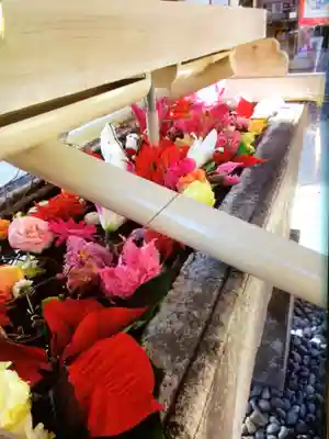 鳩森八幡神社の手水舎