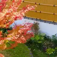 寿量山 速成寺の庭園