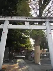 滝野川八幡神社の鳥居