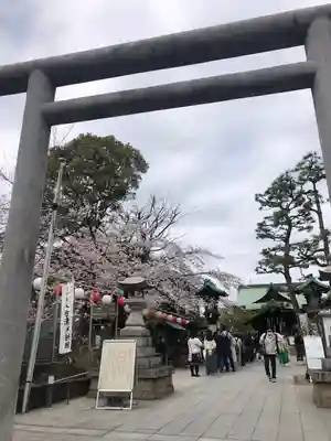 桜神宮の鳥居