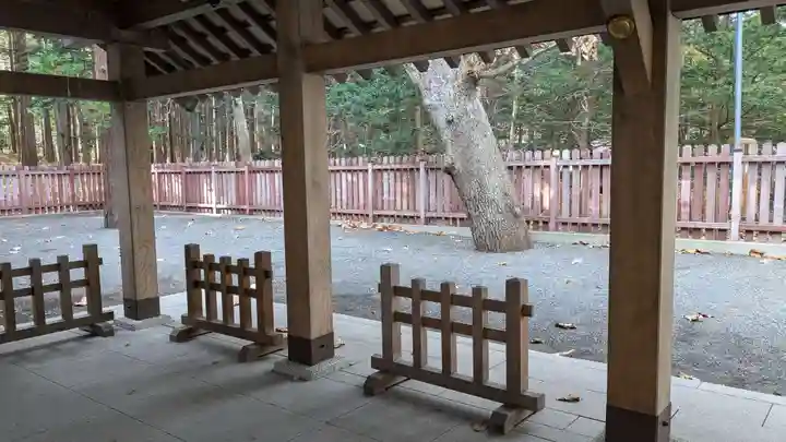 開拓神社の本殿・本堂