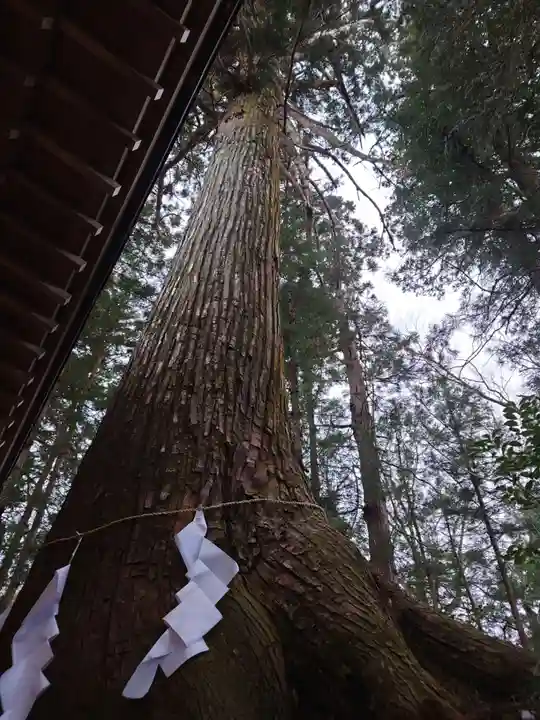 黒沼神社(福島県)